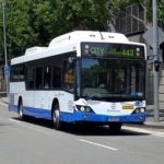 580 more bus services roll into Western Sydney and Newcastle