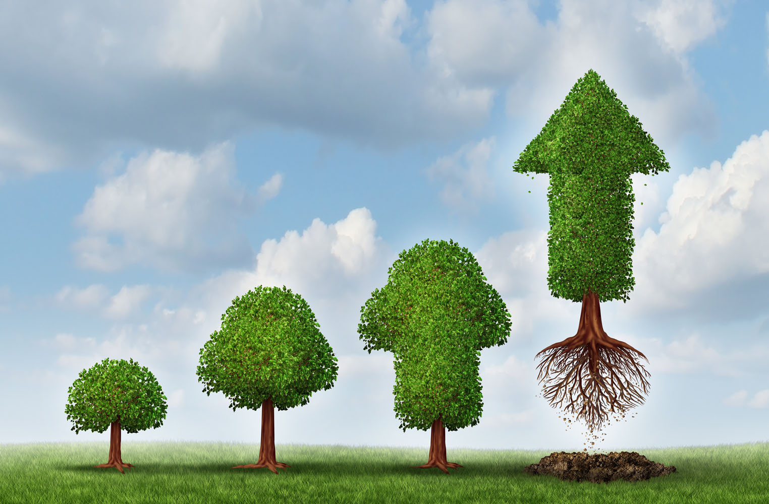 Анимация роста дерева. Цикл дерева. Этапы роста дерева. Стадии роста дерева. Деревце растет.