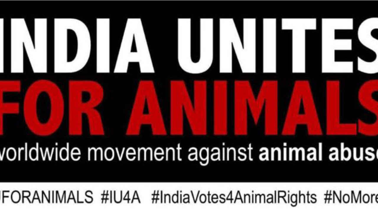 India's largest movement against animal abuse on 18 September -
