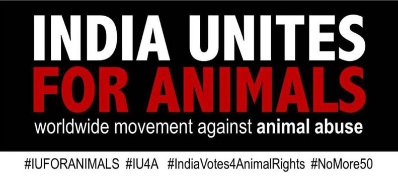 Australia, India unite for animal rights -