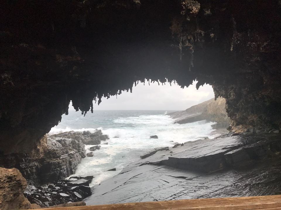 I'm rooting for Kangaroo Island. Here's why