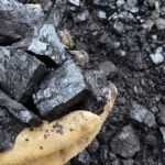 India our next coal export hotspot, says Canavan