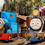 Experience Puffing Billy Railway this Summer
