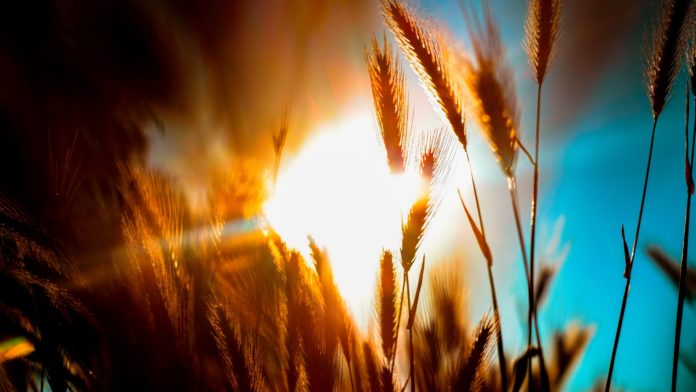 hikmet-colak-TFCDjsGXrkU-unsplash