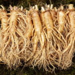 The Ministry of Agriculture, Food and Rural Affairs announced that exports of agricultural and fishery products such as ginseng exceeded $10 billion.