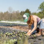 Do Women Farm with Fewer Tools?