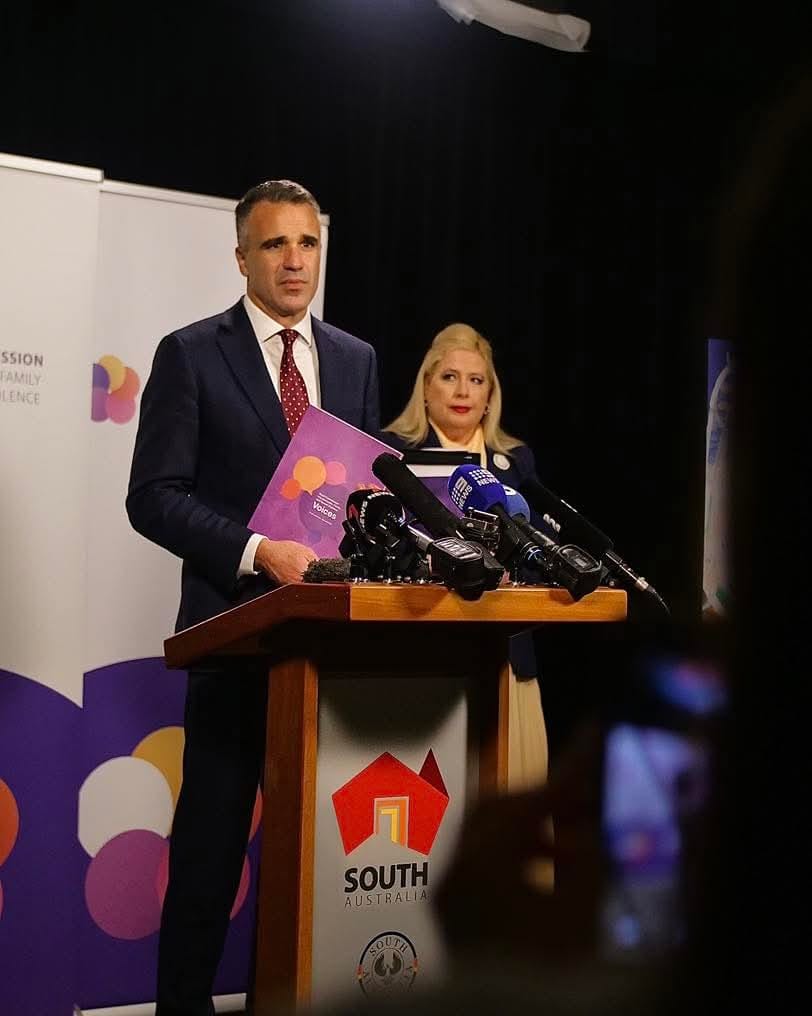 SA pledges 7 reforms, reviews 129 more on domestic violence - The ...